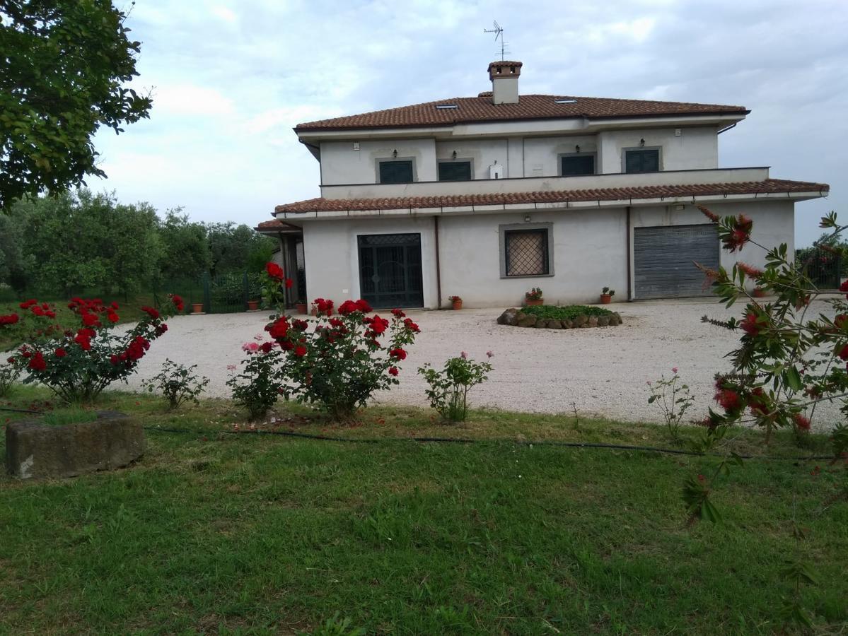 Casa Vacanze Le Rose 阿里恰 外观 照片
