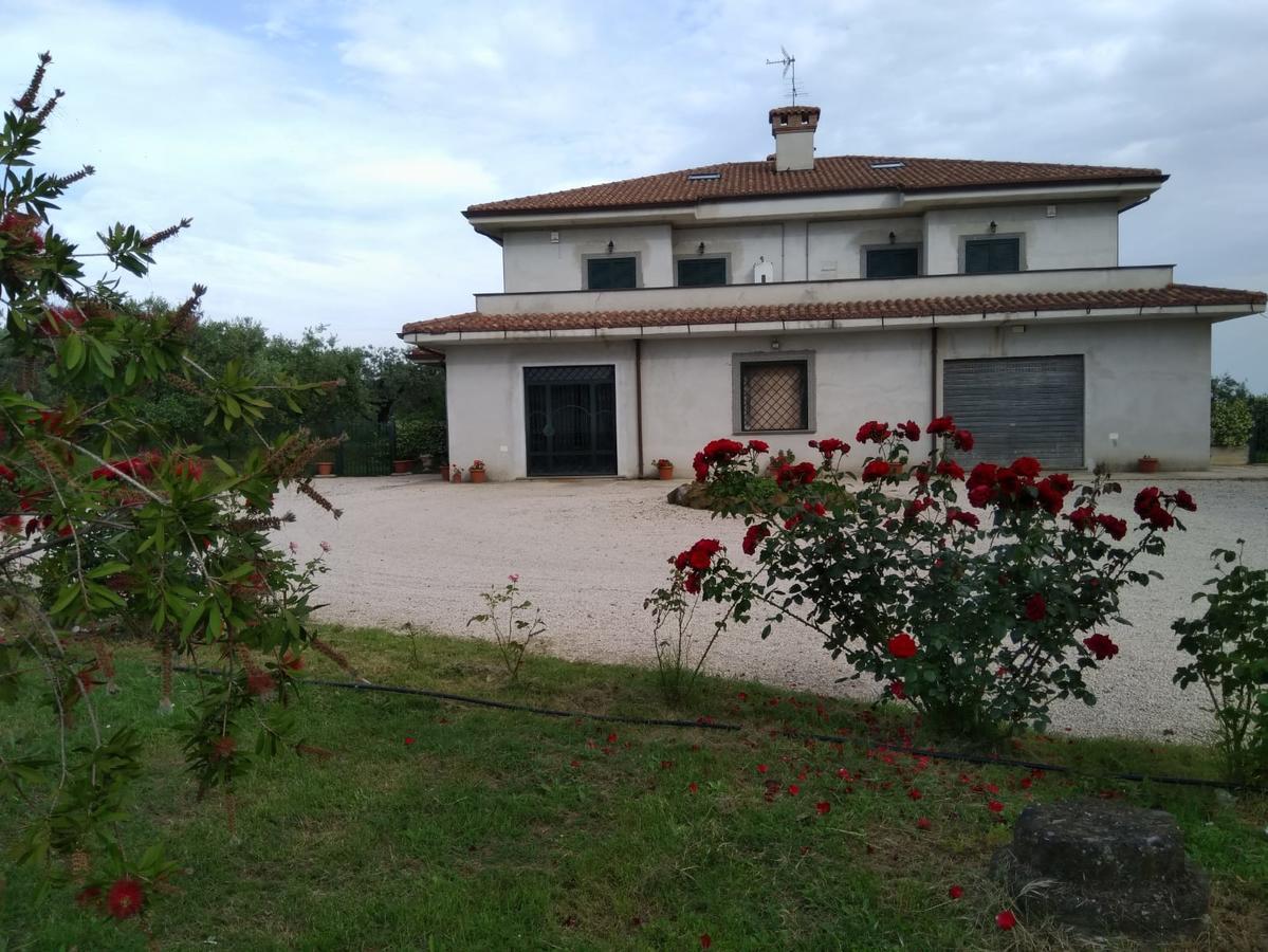 Casa Vacanze Le Rose 阿里恰 外观 照片