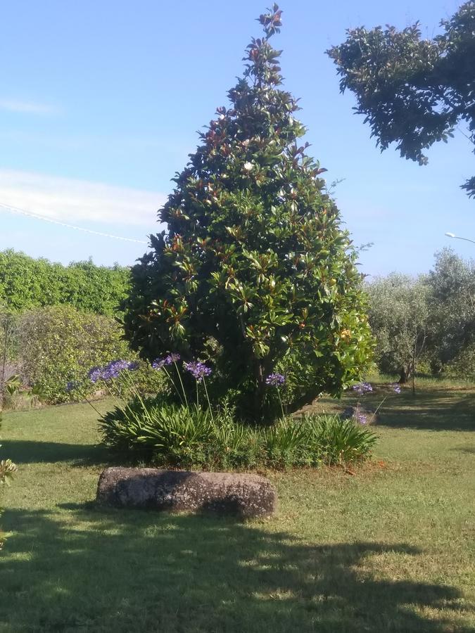 Casa Vacanze Le Rose 阿里恰 外观 照片