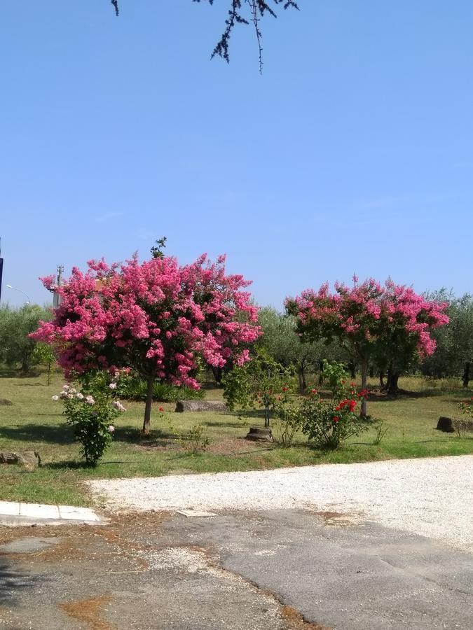 Casa Vacanze Le Rose 阿里恰 外观 照片